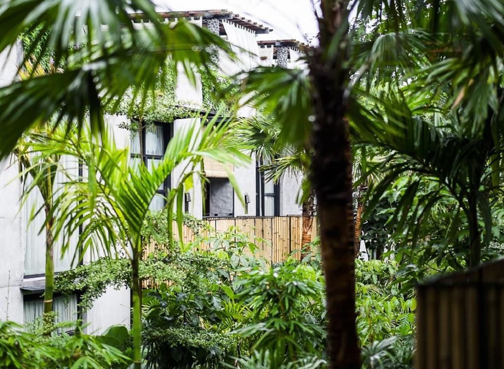 Hotel Bisma Eight - Chse Certified Ubud Exterior foto The house from the garden